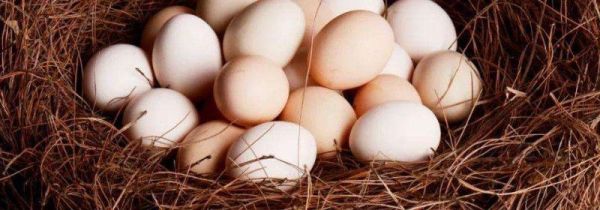 鸡蛋清发黄是不是坏了