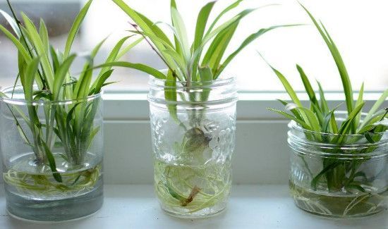 维生素c过期了怎么利用