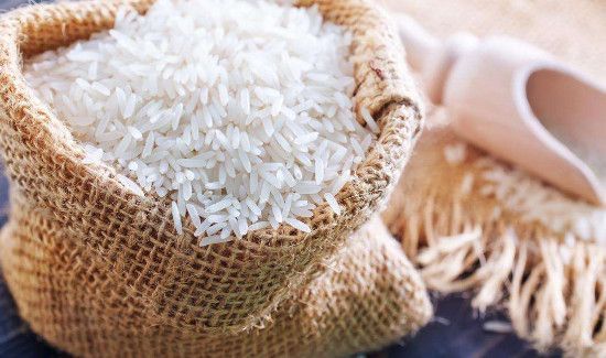 卧室没有米为什么有米虫