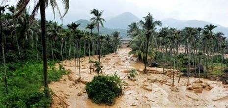 遇到泥石流我们怎么办？