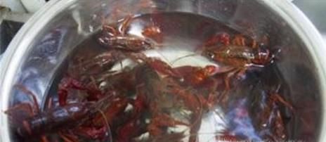 小龙虾应该怎样正确清洗，才干净？