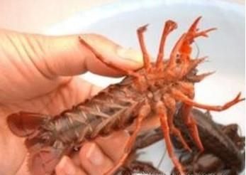 小龙虾应该怎样正确清洗，才干净？