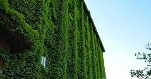 夏天温度太高，室内无空调的制冷方法