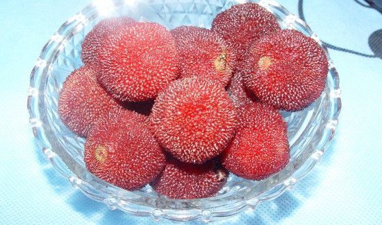 杨梅洗完可以放多久