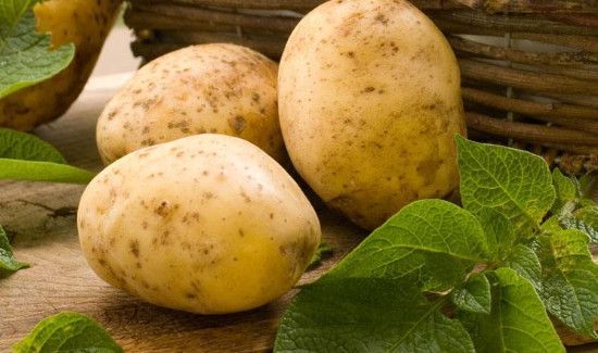 西红柿可以和土豆一起炒着吃吗