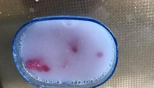 家里发现蟑螂怎么办?如何快速消灭蟑螂