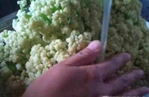 怎样洗干净菜花