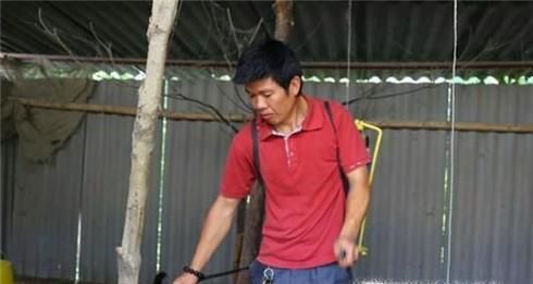 山上散养鸡怎么建鸡舍