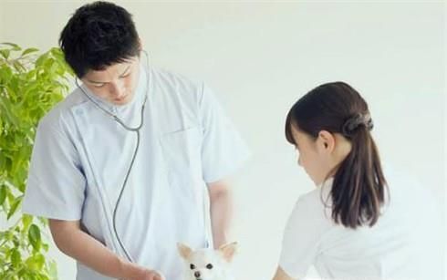 有人问：你是干什么工作的 怎么回答得体