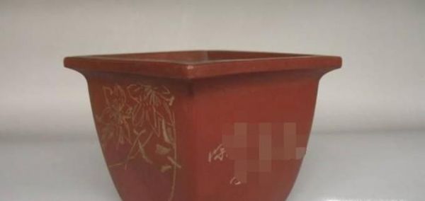 家庭怎样种桃树