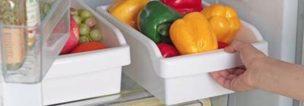 冰箱变温室能否放蔬菜