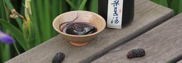 桑葚膏哪些人不能吃