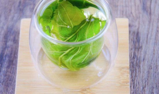 桑树叶泡水的危害