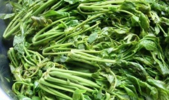 香椿怎样长期保存