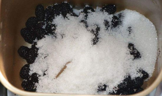 大量新鲜桑葚怎么保存