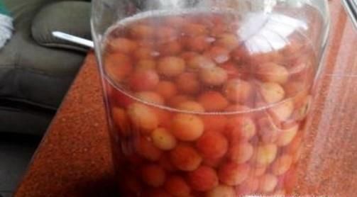 杨梅泡过酒之后该怎么处理?