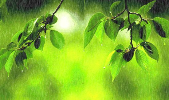梅雨季节指的是几月