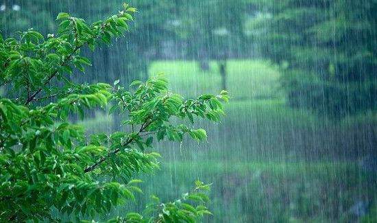 梅雨季节一般持续多久