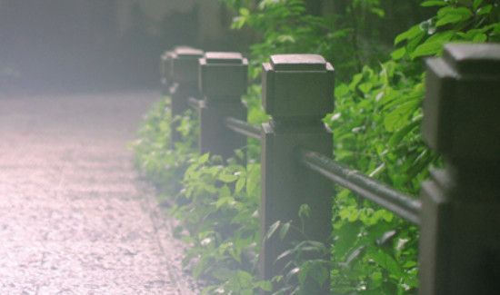 梅雨季节一般持续多久