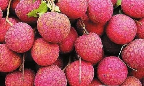 关于吃荔枝你一定要知道的窍门