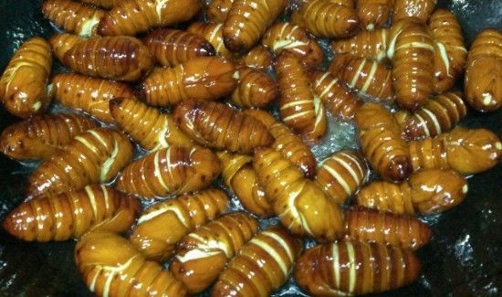 蚕蛹一天吃多少为宜