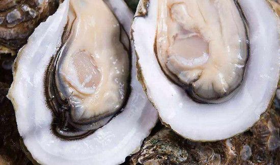 生蚝一天吃多少为宜