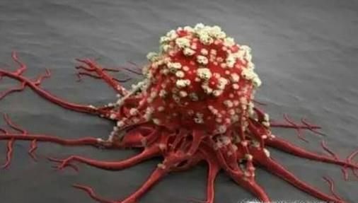 山楂泡水喝有哪些功效？哪些人群不适合喝？