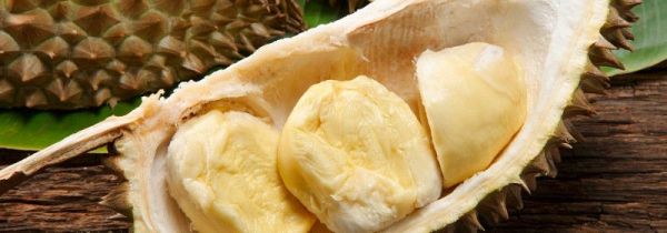 榴莲的臭味来自哪里