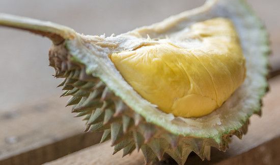 榴莲的臭味来自哪里