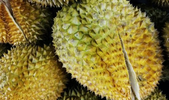 榴莲的臭味有毒吗