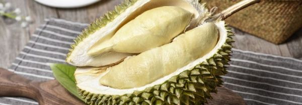 榴莲的臭味有毒吗