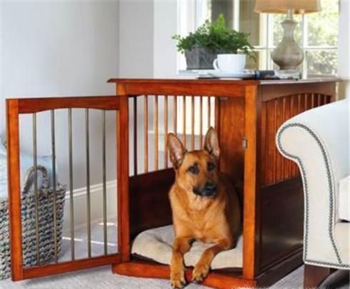 狗狗不愿意进笼子怎么办 不愿意待在笼子怎么办