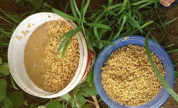 新手钓鱼怎么打窝子？打窝很有必要吗