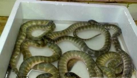 吃海鲜对人体竟然有这么多的好处？