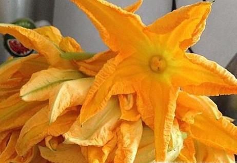 有什么花可以做菜吃