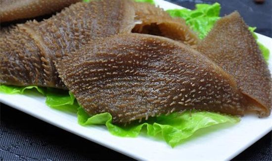 毛肚是什么部位