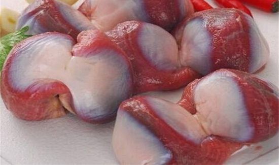 鸡肫是什么部位