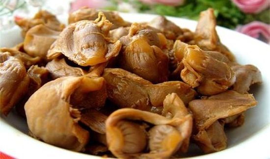 鸡肫是什么部位