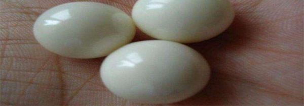 舍利子是什么东西