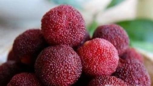 泡过酒的杨梅怎么处理