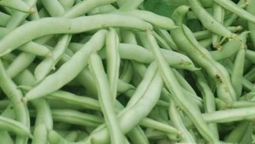怎么挑选不同品种的嫩豆角？挑选豆角的窍门