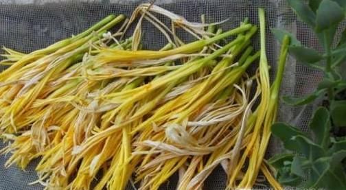 吃花的蔬菜有哪些