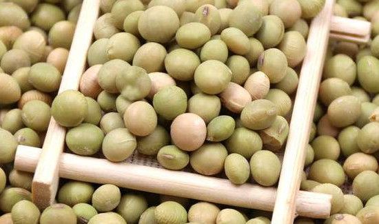 青皮豆是黄豆吗