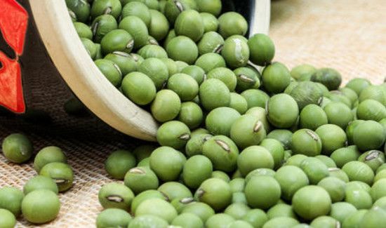 青皮豆是黄豆吗