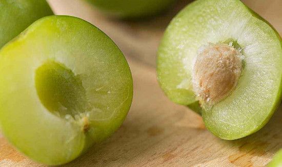 桃子不能和什么一起吃