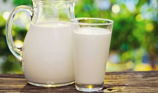 李子不能和什么一起吃吗