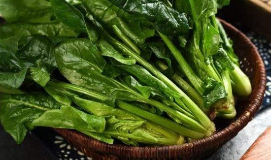 西梅不能与什么一起吃