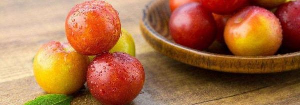 李子不能和什么一起吃吗