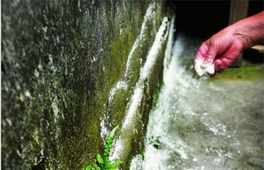 夏季如何防止被蛇咬？被蛇咬伤后如何紧急处理？