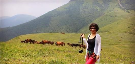 夏季如何防止被蛇咬？被蛇咬伤后如何紧急处理？